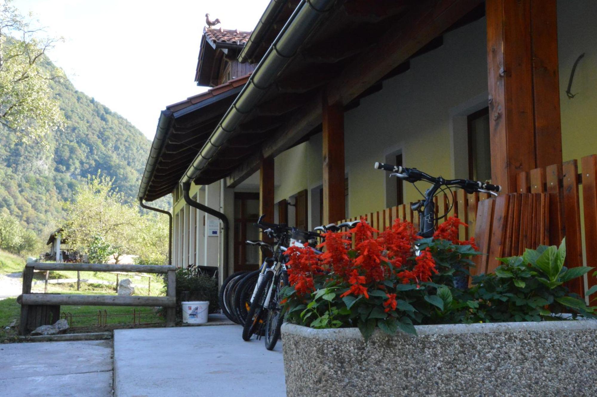 Tourist Farm Pri Kafolu Villa Tolmin Værelse billede