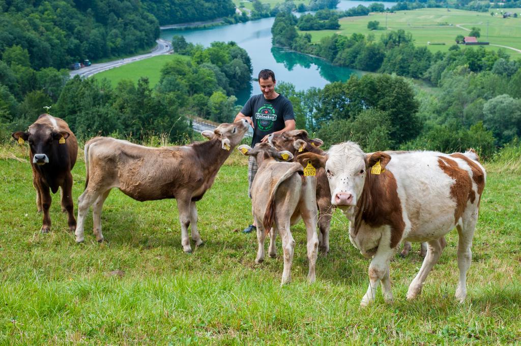 Tourist Farm Pri Kafolu Villa Tolmin Eksteriør billede